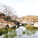 대구식당 이미지