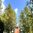 여주 마조렐글램핑리조트 이미지