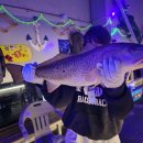 인천 락 실내바다낚시터 이미지