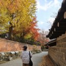 주한러시아대사관 | 좋은 길, 덕수궁돌담길, 정동길, 고종의길, 영국대사관 앞 덕수궁 내부 보행로 "서울에서 가장 아름다운...