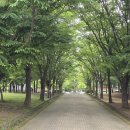 한뫼공원 이미지