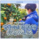 단풍이네농장