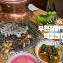 폭풍장어중동 이미지