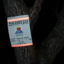 남부-무거-무거04 | 제3구간(석개재-용인등봉-삿갓봉-한나무재-진조산-굴전고개-답운치 )