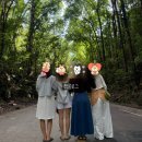 보홀 여행 l 필굿투어 안경원숭이 반딧불 육상투어 내돈내산 후기