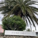 리인제주