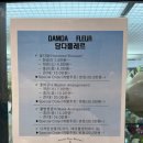담다플레르