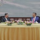 푸르다 뉴시스