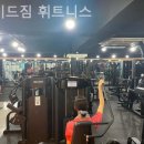 다비드짐휘트니스