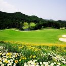 파인밸리 컨트리클럽 이미지