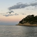 주식회사 요트탈래 | 울산 여행 데이트 코스 동구 일산지 요트 탈래 당첨후기