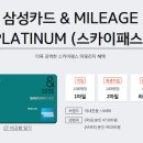 스카이플래티늄항공 이미지
