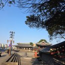 아1리 | &lt;제주도 뚜벅이 여행&gt; 제주 올레길 17코스 역방향 완주 후기