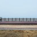 용두해수욕장숲속야영장 이미지