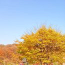 서울정신요양원 | 서울정신요양원, 경기도 요양원으로의 매력적인 선택