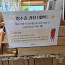 현풍초등 | 현풍샤브샤브 맛집 샤브20 대구현풍점 런치 먹어본 후기