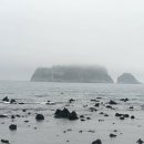 법환동-16 이미지