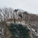 제 209차 전북 고창군 선운산(천마봉 284m) / 선운사,도솔암 산행신청 이미지