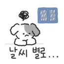 정성담은샤브칼국수 이미지
