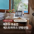 제주도게스트하우스파티달이머물다 | 제주도 조용한 게스트하우스 산방산점 여자 혼자 제주도 2박 3일 여행 숙소 추천