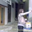노멀패밀리