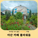 감성커피배방모산점 | 아산 배방 카페 플라워돔- 정원과 인스타 감성 포토존이 가득한 힐링 카페