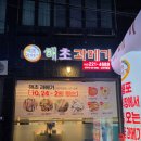 해초과메기대전