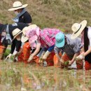 강진병영초등학교 이미지