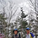 강촌횟집 이미지