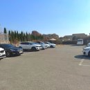 시골바이브 | [파주 애견카페] 시설보단 '시골집 바이브'로 승부! 힐링그라운드 솔직 후기 (ft. 운영시간, 주차팁)