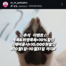 멍뭉펫 이미지