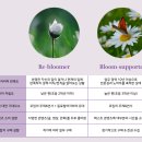 포포포2 이미지