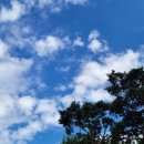 맑은수면 양압기 | 양압기 렌탈 한 달 사용 후기! 찐 리얼 내돈내산!!!