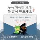 돌체음악학원 이미지