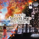 젤리피쉬소프트 이미지