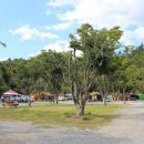 별빛 오토 캠핑장 이미지