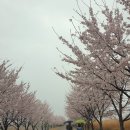 화수공원 이미지