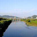 대구 하중도(금호 꽃섬) 이미지