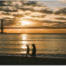 황제 행정사사무소 이미지