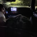 윤나네일 | 별마로천문대와 반계리 은행나무