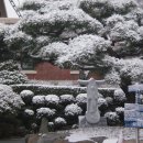 이와서 이미지