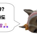 저스트라이프식품 이미지