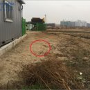 천안업성초등학교 이미지