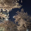 가원 | 마포 연남동, 화교가 운영하는 깔끔한 중식 맛집**가원**솔직후기