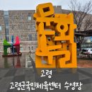옛촌갈치 | 고령군 국민체육센터 실내수영장 _ 경상북도 고령 25미터 (25m) 토요일 자유수영 후기 (함께한 옛촌갈치)