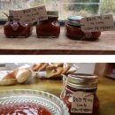 동산영농조합 이미지