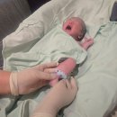 (유)제일환경 | 동탄제일병원 경산모 자연&amp; 유도분만 후기 (가족분만실 리모델링, 신관 1인실 후기)