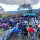 숲속의 오케스트라 이미지