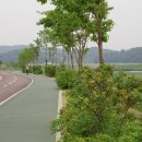 화정천수변공원1 이미지