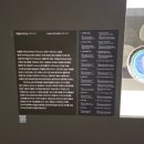 아자아자요몰 | 국립현대미술관 과천 | MMCA 해외 명작 : 수련과 샹들리에 | 상설전시 | 무료 셔틀버스 타기